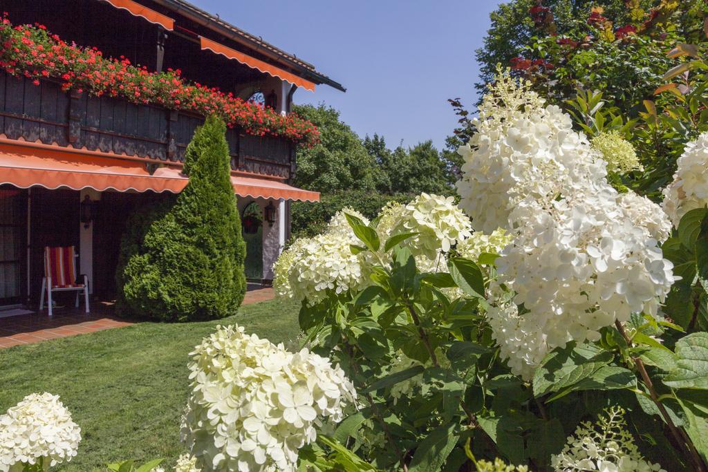 Hotel Alpina Hagnau Exterior photo